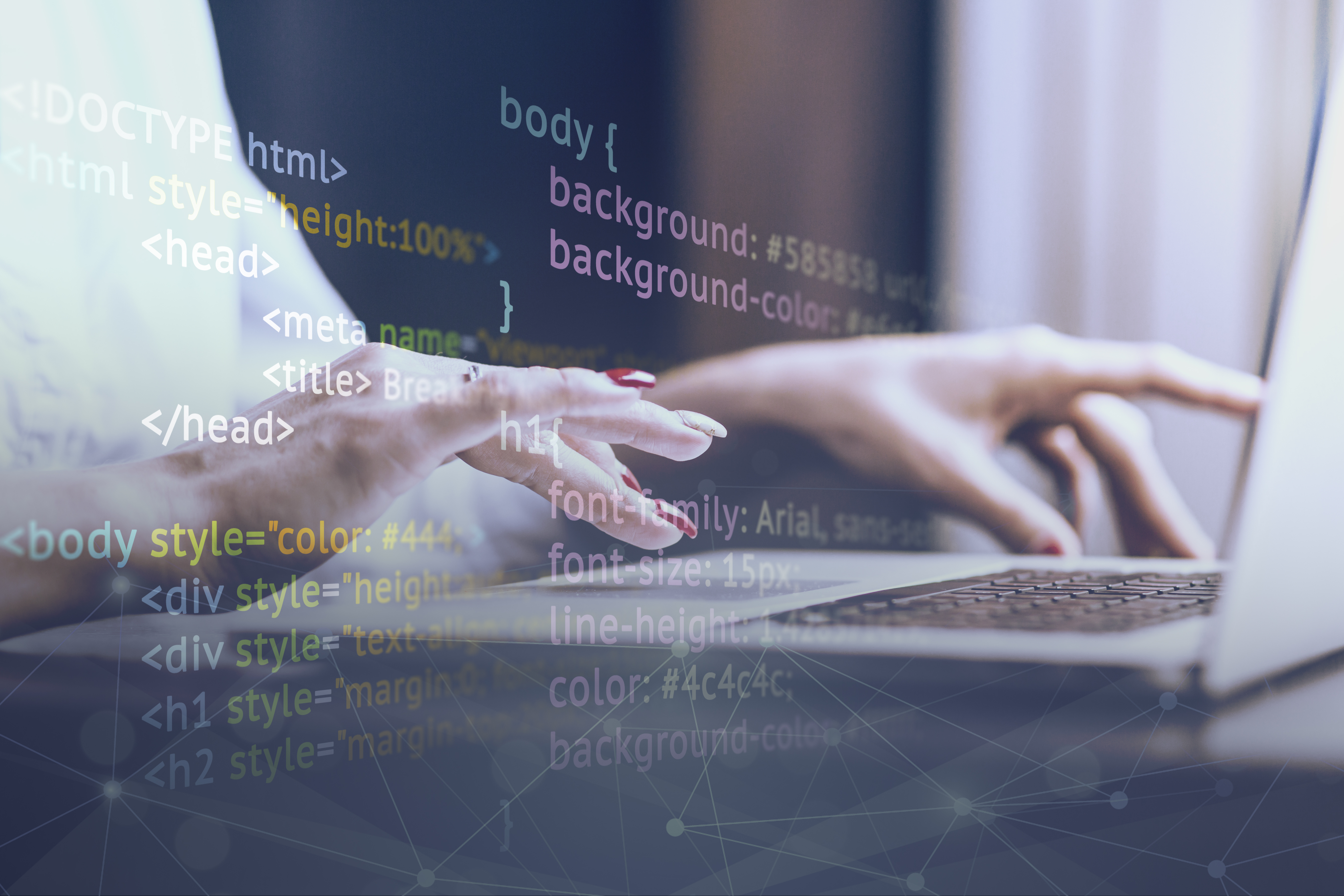 Web & Software Development